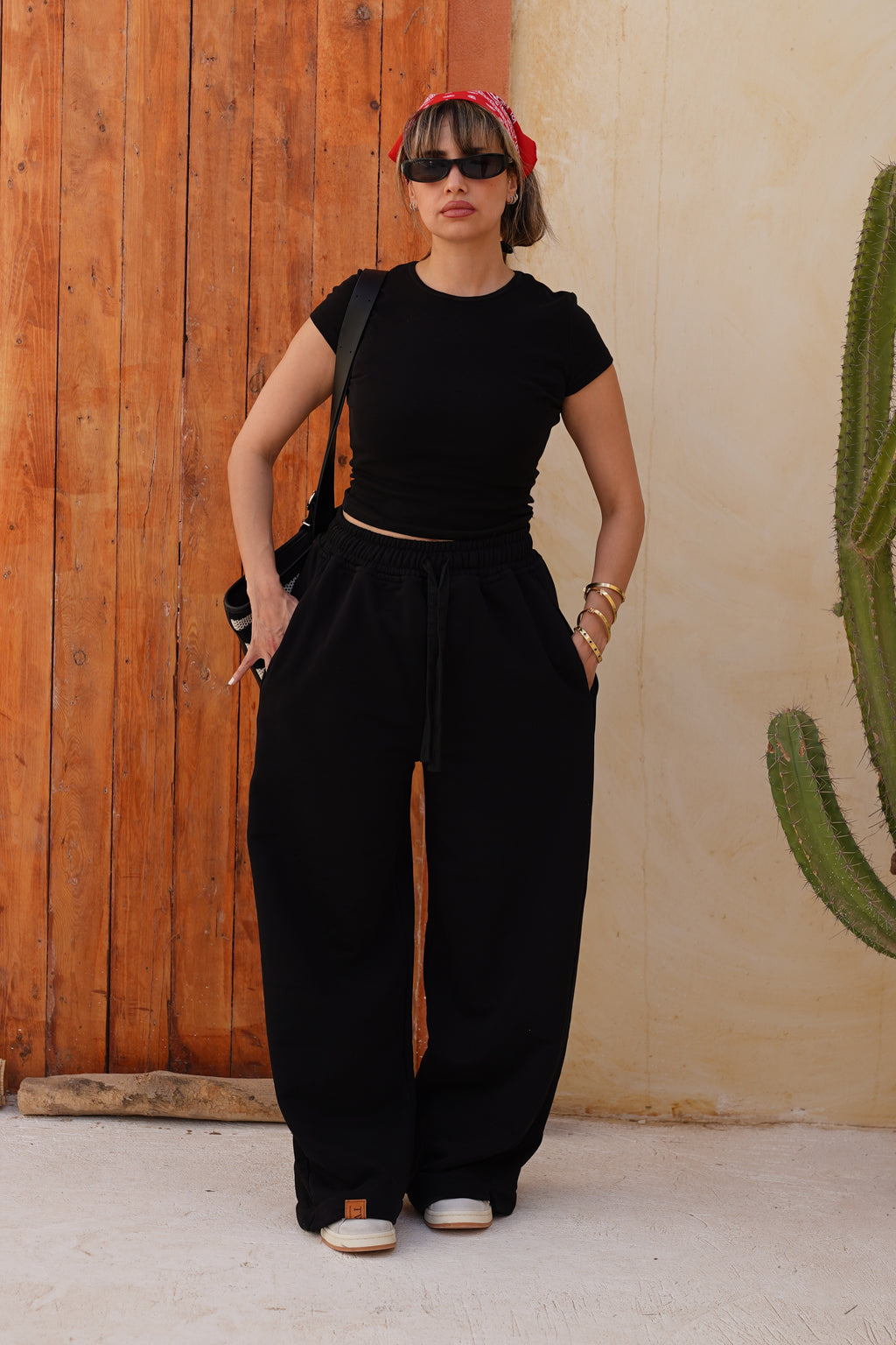 Sleek Milton Wide Pants "F